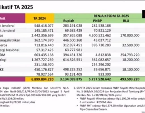 Menteri ESDM Ajukan Anggaran 2025 Rp9,38 Triliun Melebihi SBPI Rp3,91 Triliun