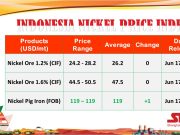 Update INPI, Analisis SMM NPI China dan Indonesia: Tinjauan Prakiraan Output Produksi Mei dan Juni Update INPI. Dok: APNI.