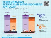 Penurunan Ekspor Nikel Indonesia pada Juni 2024, Kinerja Tahunan Tetap Positif