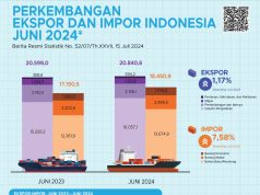 Penurunan Ekspor Nikel Indonesia pada Juni 2024, Kinerja Tahunan Tetap Positif