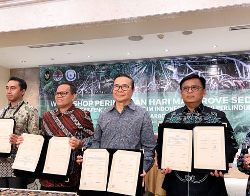 Harita Nickel dan Kemenko Marves Teken Kerja Sama Rehabilitasi Mangrove