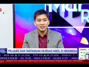 Tiga Hal yang Menjadi Tantangan Industri Nikel di Indonesia Sustainability Manager Nickel Industries Limited, Muchtazar. (tangkapan layar youtube IDX Channel)