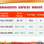 WhatsApp Image 2024-08-13 at 10.20.18 AM