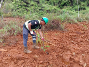 Hengjaya Mineralindo Raih Pratama Pengelolaan Lingkungan Hidup dalam Good Mining Practices 2024 Kegiatan penanaman PT Hengjaya Mineralindo. (Dok. PT Hengjaya Mineralindo)