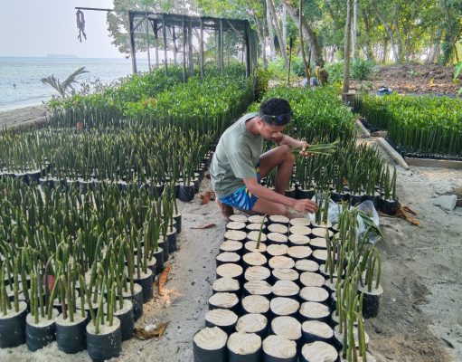Relawan Mangrove Artha Graha Kerja Sama dengan JFX Untuk Kualitas Udara Bersih