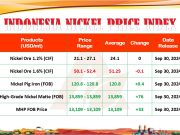 INPI Masukkan Komoditas Nikel Matte dan MHP Mulai 30 September 2024
