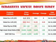 APNI Rilis INPI Per 14 Oktober 2024 dengan Lima Komoditas Nikel