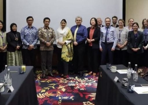 Indonesia-Kanada Dorong Pembahasan Mineral Kritis dalam Perundingan CEPA