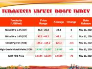 APNI dan SMM Rilis INPI 11 November 2024, Terjadi Perubahan Penting!