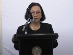 CSIS: Mineral Kritis Memegang Peranan Besar dalam Pembangunan Global Deputy Executive Director for Operations Centre for Strategic and International Studies (CSIS), Medelina K. Hendytio. (Dok. CSIS)