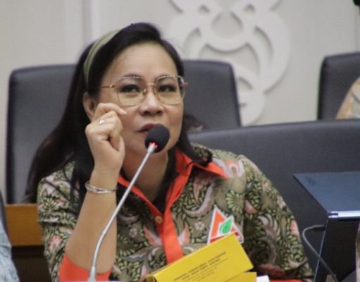 APNI akan Susun Forum ESG untuk Tata Kelola Pertambangan Nikel Berkelanjutan