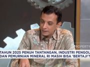 Sekjen AIPI: Tantangan dan Peluang Hilirisasi Industri Smelter di Indonesia
