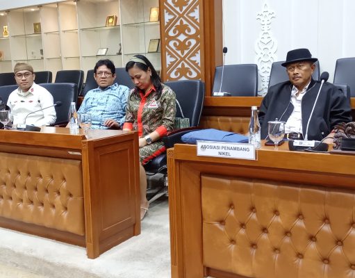 Konsesi Tambang untuk Ormas Keagamaan, PT, dan UMKM, Apakah Mereka Siap?