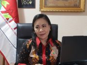 Kontroversi RUU Minerba, APNI Tekankan Pentingnya Regulasi yang Ketat