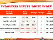 Harga Nikel Indonesia Stagnan, Nickel Matte dan MHP Turun