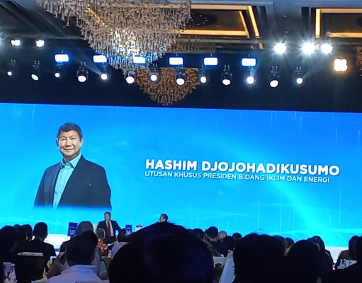 Energi Terbarukan, Masa Depan Indonesia Menuju Superpower Ekonomi