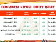 Harga Nikel Indonesia di Pertengahan Februari, Tak Alami Kenaikan Signifikan Rilis Indonesia Nickel Price Index (INPI) hari ini. (Dok. APNI)