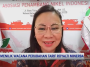 Perubahan Tarif Royalti Minerba, Sekum APNI Ungkap Kekhawatirannya Sekretaris Umum Asosiasi Penambang Nikel Indonesia (APNI), Meidy Katrin Lengkey.