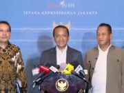 Proyek Hilirisasi Tahun 2025 Ditargetkan Capai US$40 Miliar