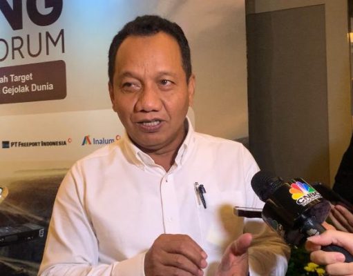ESDM Klaim Kenaikan Royalti Tidak Akan Memberatkan Direktur Jenderal Minerba Kementerian ESDM, Tri Winarno. (Dok. MNI)