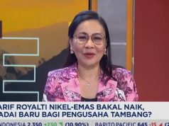 Tarif Royalti Naik, APNI: Pengusaha Tambang Keberatan