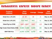 Tipis Memang, Pekan ini Harga Tiga Jenis Nikel Naik Indonesia Nickel Price Index (INPI). (Dok.APNI)