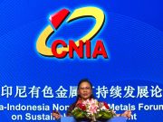 Sekum APNI Soroti Tantangan dan Paradoks Industri Nikel Indonesia dalam Forum Tiongkok-Indonesia