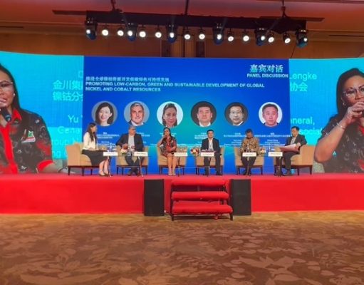 APNI Tegaskan Pentingnya Penguatan ESG di Industri Nikel Indonesia