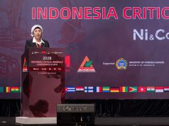 Prof. Evvy: Dorong Hilirisasi Nikel agar Memberi Nilai Tambah Maksimal