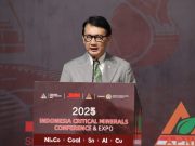 Wamenlu Arif Havas Tegaskan Peran Sentral Indonesia dalam Tata Kelola Global Mineral Kritis