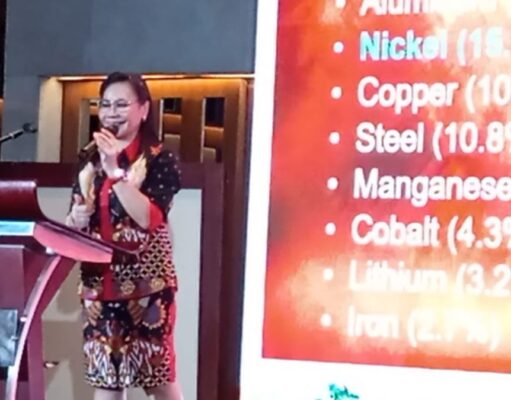 Industri Nikel Tumbuh Pesat, APNI: Indonesia Butuh 800 Juta Ton Bijih Nikel per Tahun