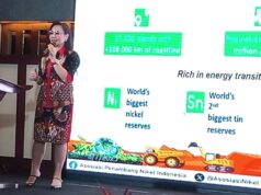 APNI Soroti Tantangan Industri Nikel: Fokus ke Value, Bukan Sekadar Kuantitas