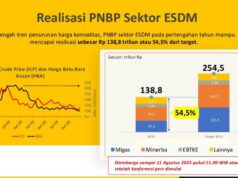 Dirjen Minerba: Realisasi Sektor Nikel Menunjukkan Berjalan Sesuai Rencana