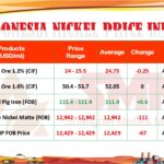 WhatsApp Image 2025-08-12 at 9.36.04 AM