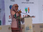 PLTS Apung Singkarak Terkendala Sosial, Dirjen EBTKE Mohon Dukungan Masyarakat