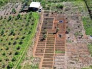 Bintang Delapan Mineral Reklamasi 1.337 Ha Lahan Pascatambang di Morowali