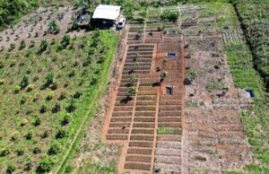 Bintang Delapan Mineral Reklamasi 1.337 Ha Lahan Pascatambang di Morowali