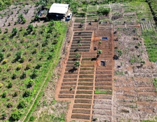 Bintang Delapan Mineral Reklamasi 1.337 Ha Lahan Pascatambang di Morowali