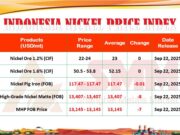 APNI Rilis Harga Nikel Domestik per September 2025, Produk MHP Turun US$7 per Ton