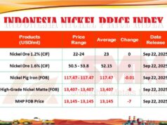 APNI Rilis Harga Nikel Domestik per September 2025, Produk MHP Turun US$7 per Ton