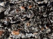 Transisi Energi dan Hilirisasi Bikin Saham Nikel Meroket di 2025