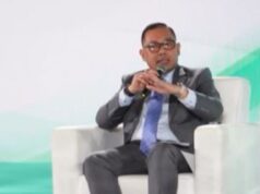 Wamen Investasi: Hilirisasi Jadi Kunci Turunkan Harga Listrik Energi Hijau