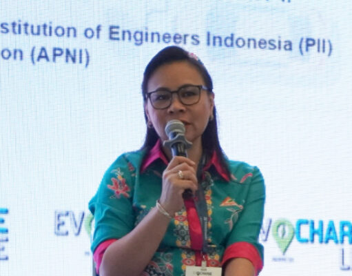 Tren Global Bergeser ke LFP, Indonesia Harus Siap Adaptasi Strategi Nikel