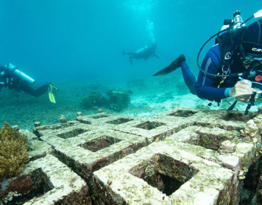 Harita Nickel Manfaatkan Terak Nikel sebagai Media Tanam untuk Reklamasi Tambang