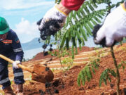 DPR Minta Pemerintah Revisi Formulasi Jaminan Reklamasi Tambang