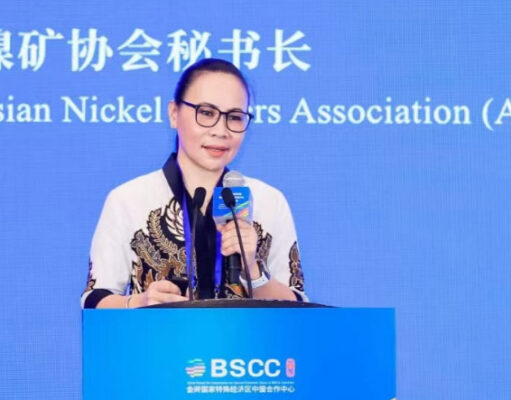 Sekum APNI Tegaskan Komitmen Indonesia Perkuat Rantai Pasok Mineral Hijau di Forum BRICS