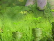 Baterai Nikel Perkuat Ekonomi Hijau, Teknologi LFP Menghadang