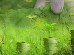 Baterai Nikel Perkuat Ekonomi Hijau, Teknologi LFP Menghadang