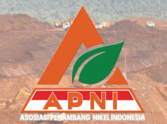 Harga Nikel Naik, APNI Ingatkan Pentingnya Stabilitas dan Keseimbangan Industri