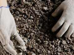 Antam Realisasikan Hampir Seluruh Dana Right Issue untuk Proyek Feronikel Haltim